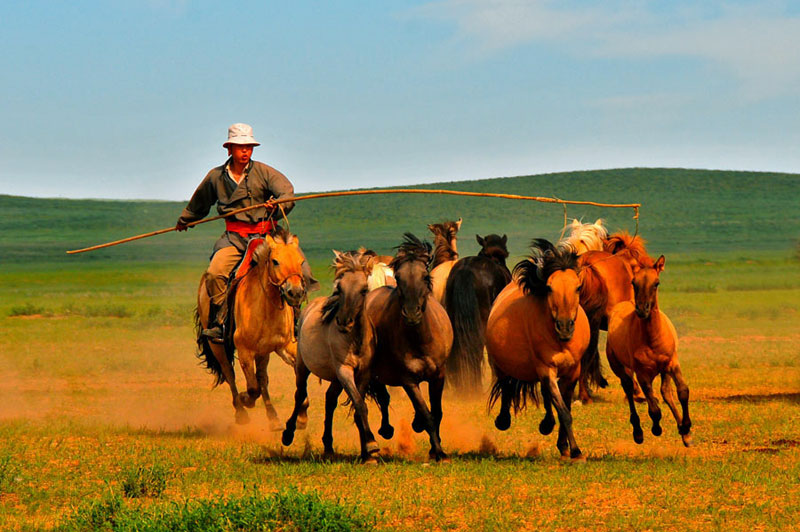 Mongolie